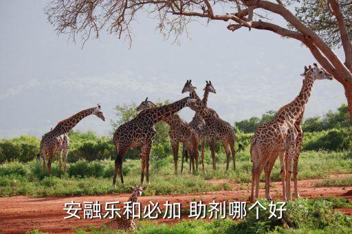 什么牌農藥助劑好,農藥加工時常用的助劑有什么