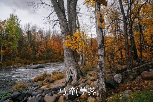  馬蹄(荸薺
