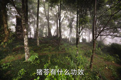 彪火是什么農藥,666粉是什么農藥