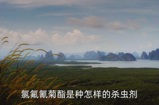 氯氟氰菊酯是種怎樣的殺蟲劑