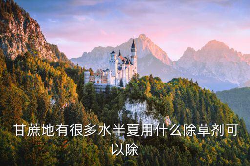  甘蔗地有很多水半夏用什么除草劑可以除