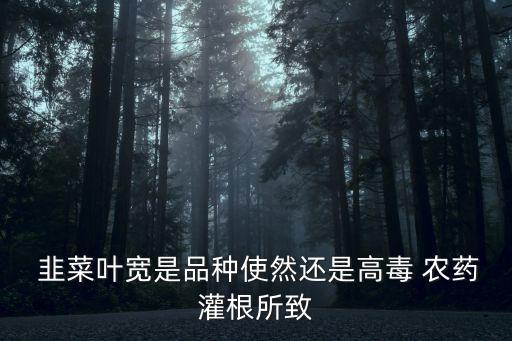 韭菜和農藥有什么關系,韭菜上的農藥用什么泡
