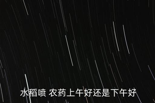  水稻噴 農藥上午好還是下午好