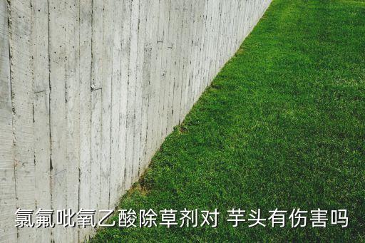 氯氟吡氧乙酸除草劑對 芋頭有傷害嗎