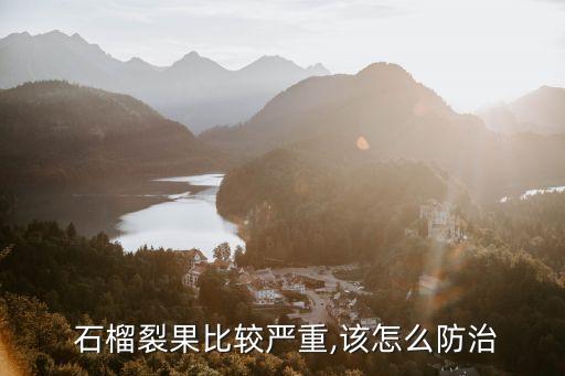 石榴現在打什么農藥,石榴打什么農藥不生蟲不落果