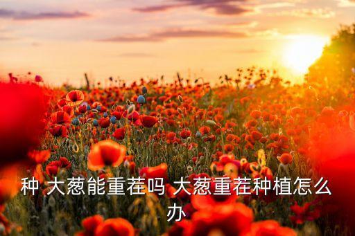 大蔥最忌什么農(nóng)藥,大蔥防病用什么農(nóng)藥