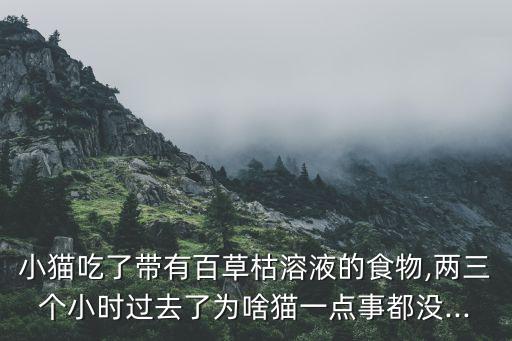 貓貓子為什么喝農藥,羅小貓貓子為什么喝農藥