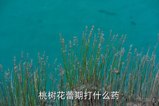 花期用什么農(nóng)藥最好呢,小麥花期打什么農(nóng)藥