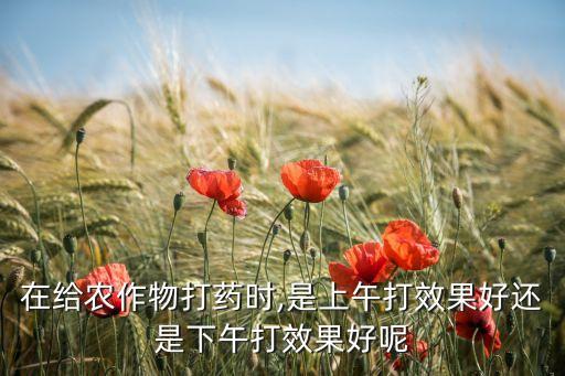 農藥熱天什么時候打好呀