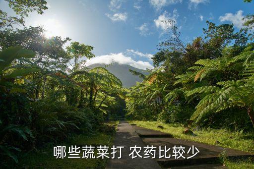 哪些蔬菜打 農藥比較少