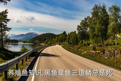 養(yǎng)殖魚知識,黑魚草魚三道鱗總是死