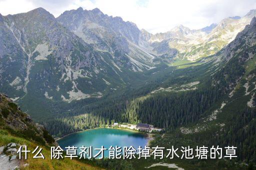 河道除草用什么農藥,什么農藥除草效果最好