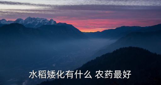 中泰屬于什么農藥,蘇云金桿菌屬于什么農藥