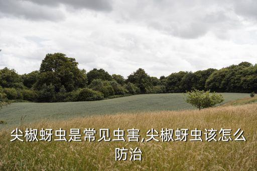 辣椒長蟲噴什么農藥,辣椒拉長拉直農藥
