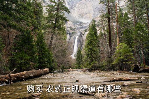 買農藥到什么店買,種子農藥店需要什么手續