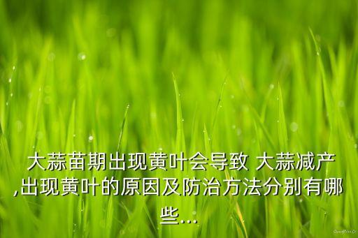 大蒜發黃打什么農藥才好,大蒜苗發黃屬什么病,怎樣治