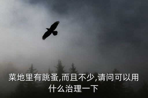 地蛒蚤打什么農藥,貓蚤用什么農藥可以殺死它