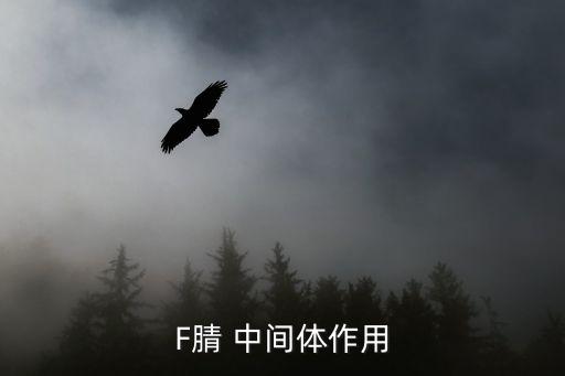 F腈 中間體作用