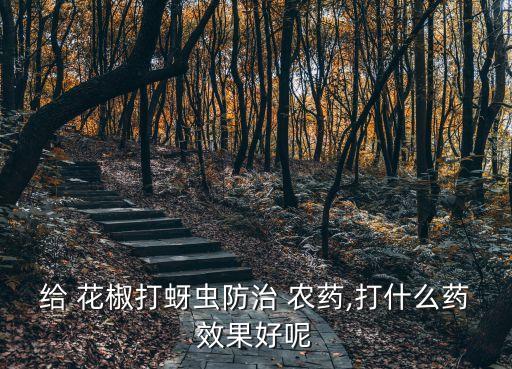給 花椒打蚜蟲防治 農藥,打什么藥效果好呢