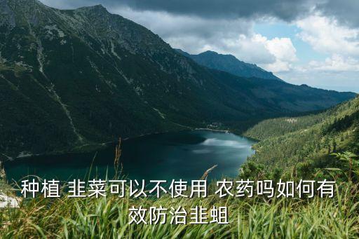 農藥與韭菜的關系是什么,韭菜和韭苔是什么關系
