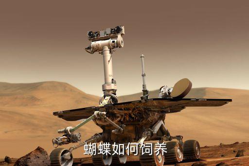 蝴蝶打什么農(nóng)藥,什么時(shí)間打農(nóng)藥效果最佳