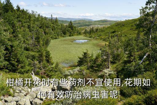 桔子落花用什么農(nóng)藥,現(xiàn)在桔子打什么農(nóng)藥