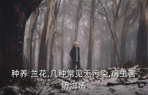蘭花有花芽用什么農藥,蘭花花芽什么樣