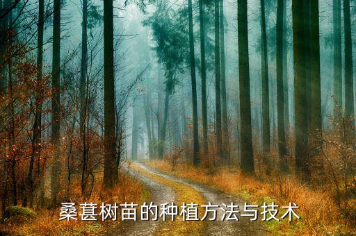 嫁接后的桑葚要用什么農(nóng)藥