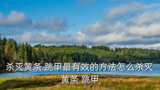 殺滅黃條 跳甲最有效的方法怎么殺滅黃條 跳甲