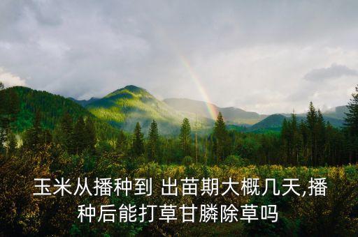  玉米從播種到 出苗期大概幾天,播種后能打草甘膦除草嗎