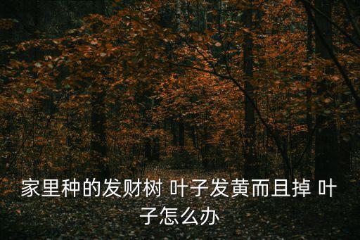 掉葉子用什么農藥,法師大量掉葉子什么問題