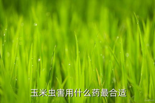 玉米生病要用什么農藥,玉米一般打什么農藥