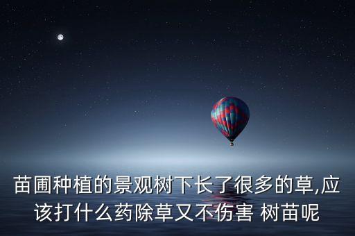 樹苗打農(nóng)藥后用什么藥,農(nóng)藥對樹苗有什么危害