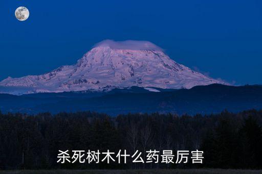 樹(shù)用農(nóng)藥叫什么樹(shù)寧,有什么農(nóng)藥可以把樹(shù)毒死