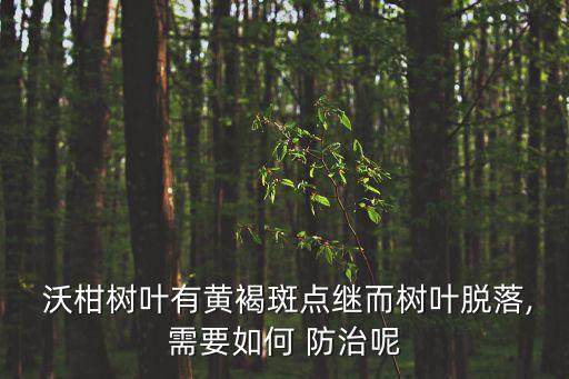 沃柑疫病用什么農藥防治,沃柑12月份打什么農藥