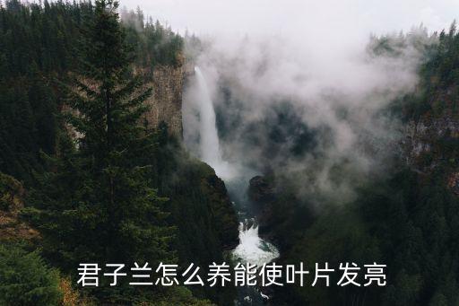 君子蘭殺菌用什么農藥,茶樹殺菌用什么農藥