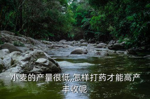 小麥喂什么農藥好些呢,小麥打農藥什么時間打效果好