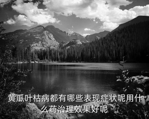  黃瓜葉枯病都有哪些表現癥狀呢用什么藥治理效果好呢