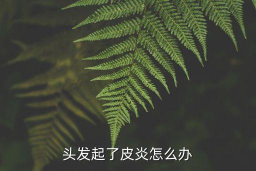 頭發起了皮炎怎么辦