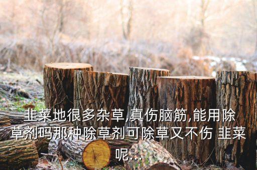  韭菜地很多雜草,真傷腦筋,能用除草劑嗎那種除草劑可除草又不傷 韭菜呢...