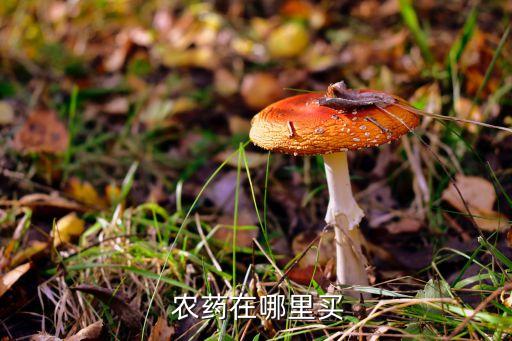 什么地方賣賽丹農藥,賽丹農藥哪里有賣