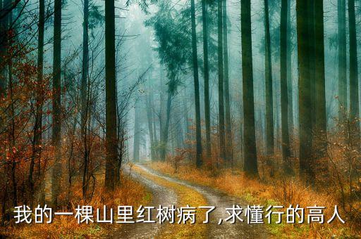 我的一棵山里紅樹病了,求懂行的高人