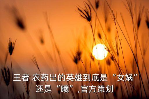  王者 農藥出的英雄到底是“女媧”還是“曦”,官方策劃