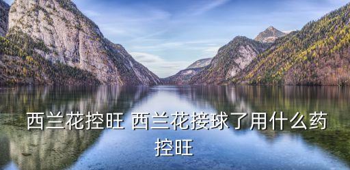  西蘭花控旺 西蘭花接球了用什么藥控旺