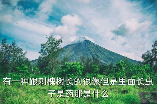 斗米蟲用什么農藥防治,白菜米蟲用什么農藥