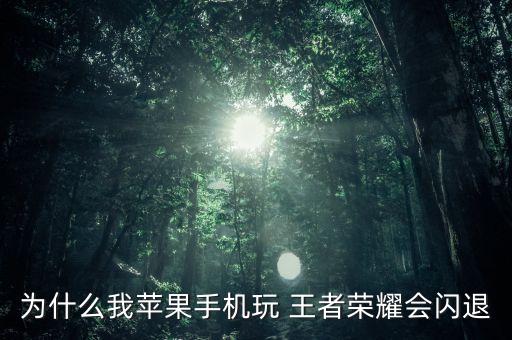 為什么我玩不了王者農藥,5g玩王者為什么會卡