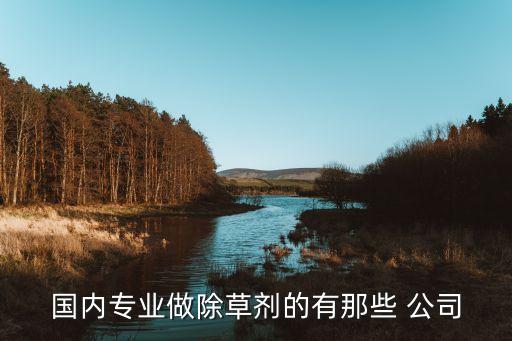 農(nóng)藥生產(chǎn)注冊(cè)什么公司,生產(chǎn)農(nóng)藥的上市公司
