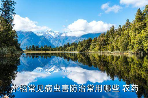  水稻常見病蟲害防治常用哪些 農藥