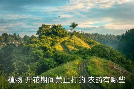 板藍開花打什么農藥,藍桉什么季節開花