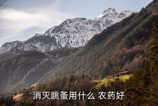 種馬踐用什么農藥打蟲媽,什么能代替農藥打蟲